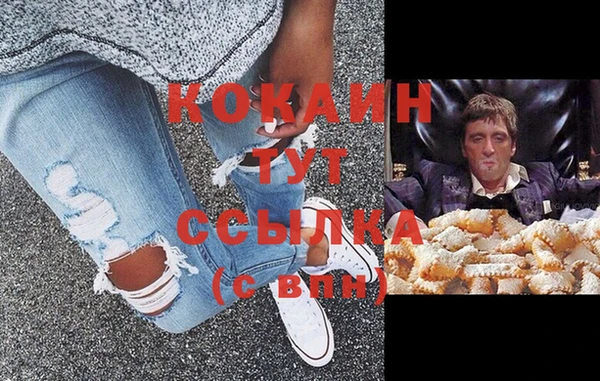 индика Новодвинск