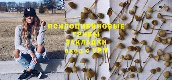 мескалин Новозыбков