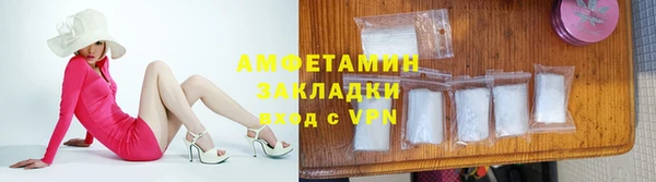 индика Новодвинск