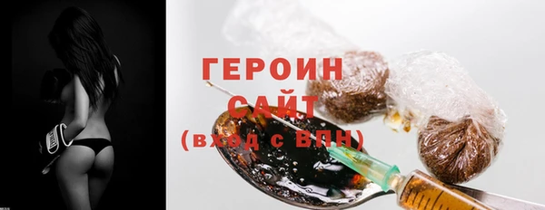 индика Новодвинск