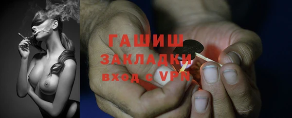 индика Новодвинск