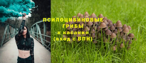 прущая мука Новокубанск