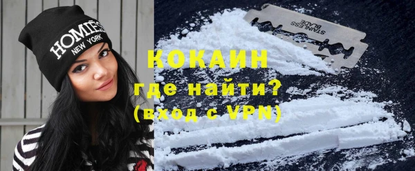 индика Новодвинск
