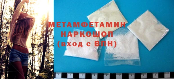 индика Новодвинск