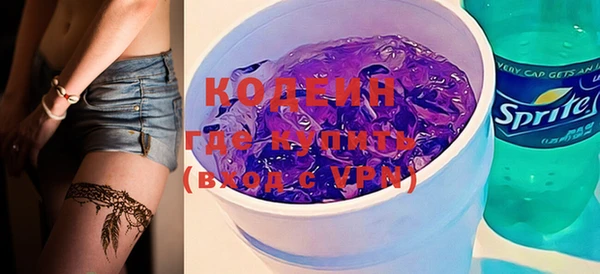 индика Новодвинск