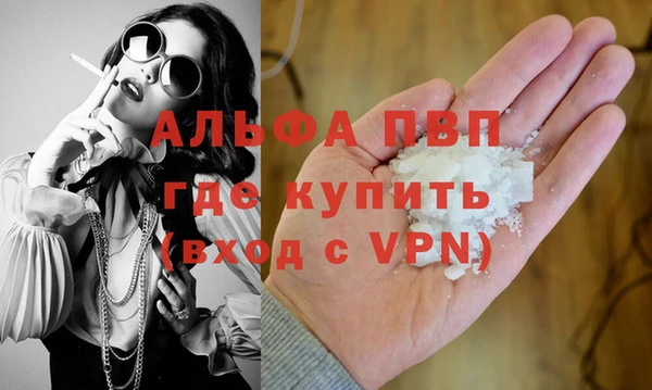 индика Новодвинск
