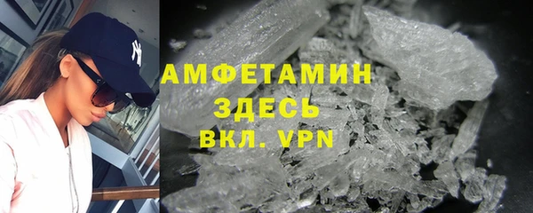 индика Новодвинск