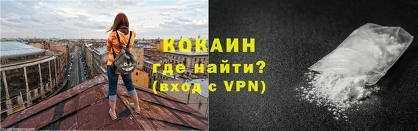 бошки Няндома