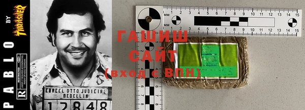 индика Новодвинск